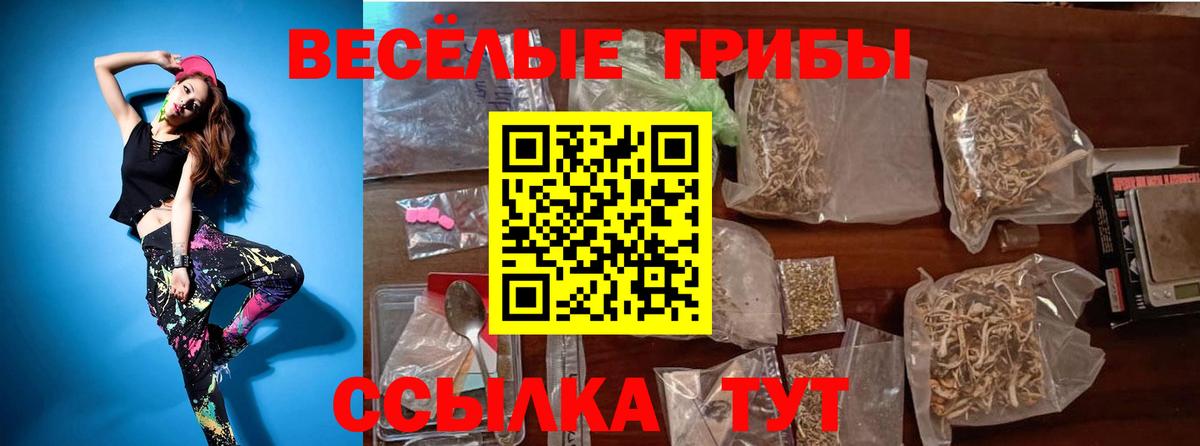 Будённовск  Галлюциногенные грибы Psilocybine cubensis  Вход с VPN 