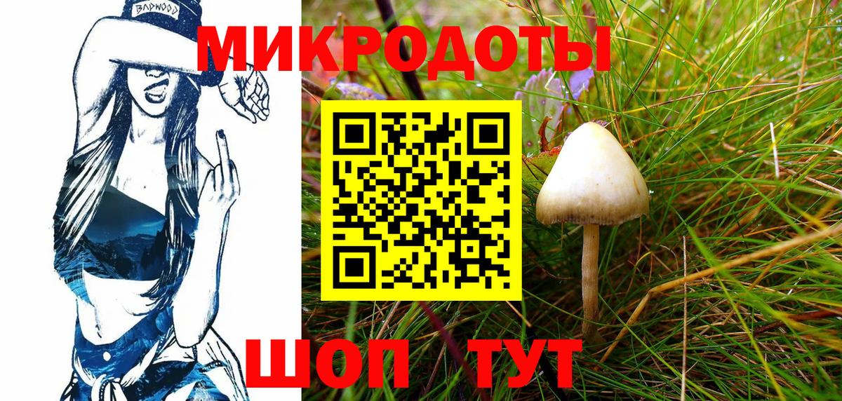 Галлюциногенные грибы Cubensis Будённовск